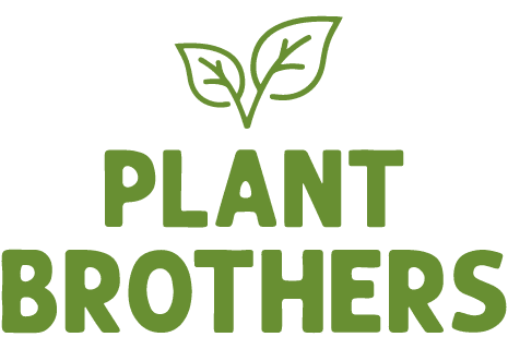 Plant Brothers en Łódź