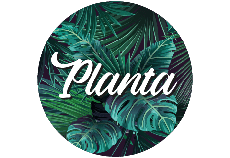 Planta en Legnica